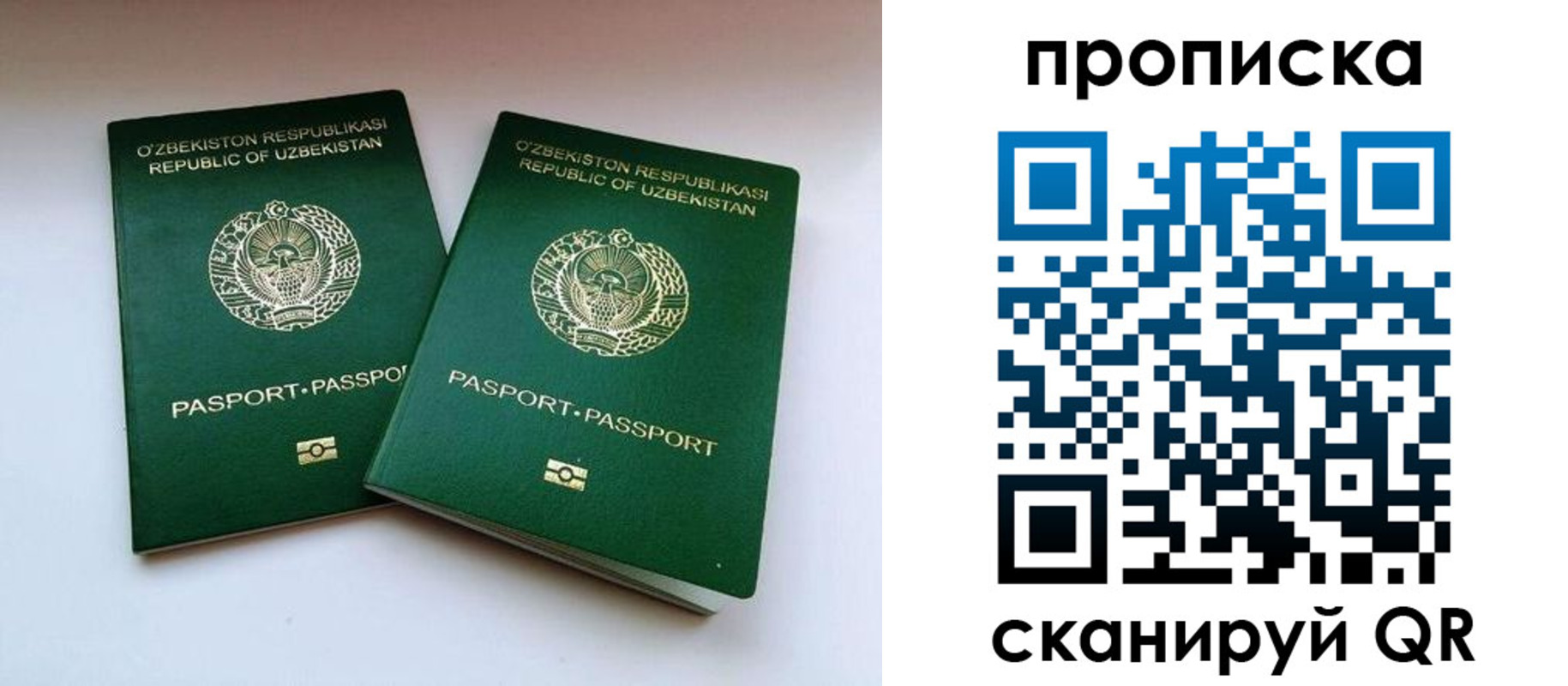 прописка поиск в Михайлове